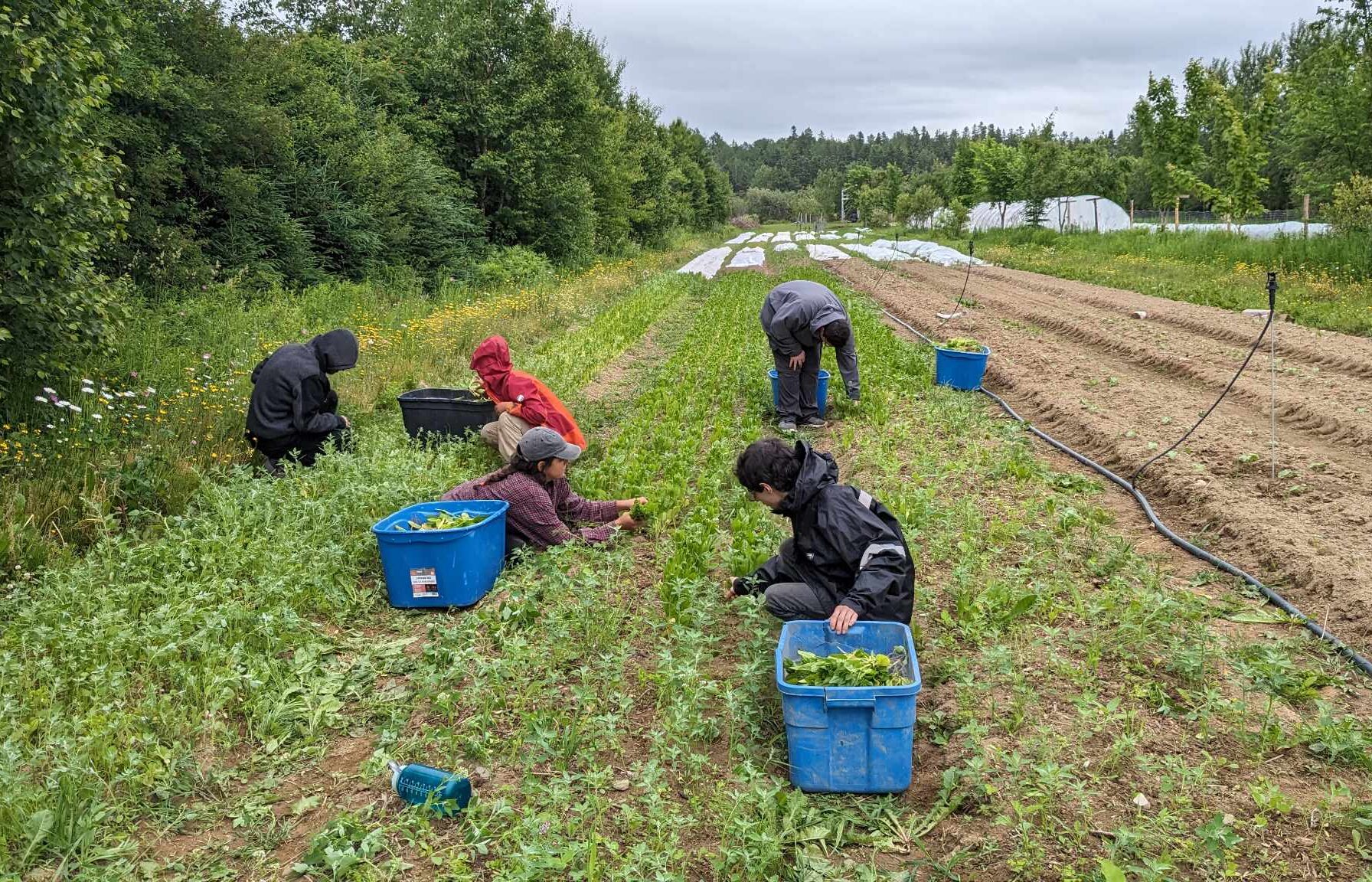 Destination Vert... Rimouski: un voyage réussi pour les jeunes