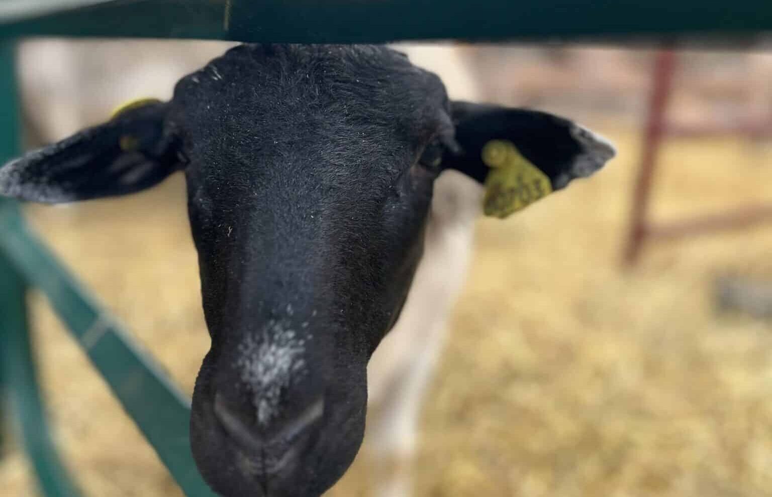 Découverte des métiers agricoles