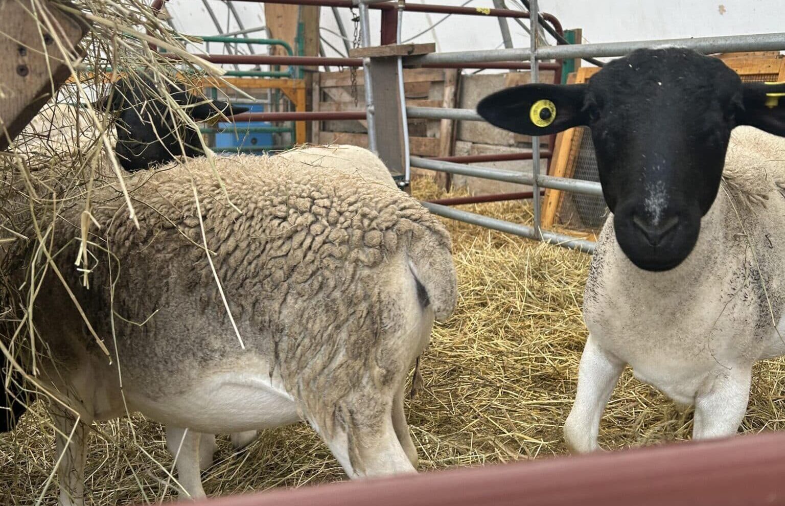 Découverte des métiers agricoles